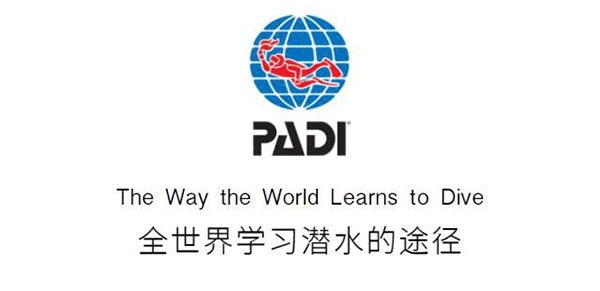 12/12正式上線！PADI 最新課程【休閑潛水員Resort Diver】 丨 一天拿證，潛遍全球