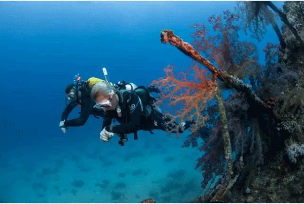 成為潛水員之前的你，是不是也問過這些問題？