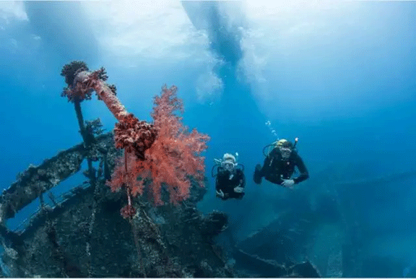 成為潛水員之前的你，是不是也問過這些問題？