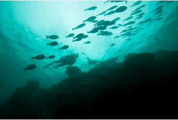 成為潛水員之前的你，是不是也問過這些問題？