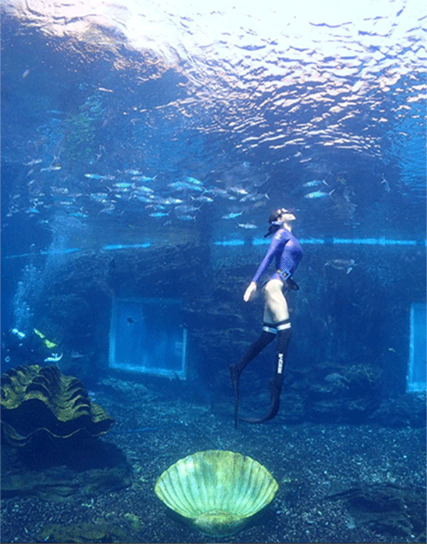 潛水常見問題，原來潛水沒你想的那么難