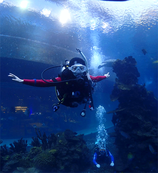 潛水常見問題，原來潛水沒你想的那么難