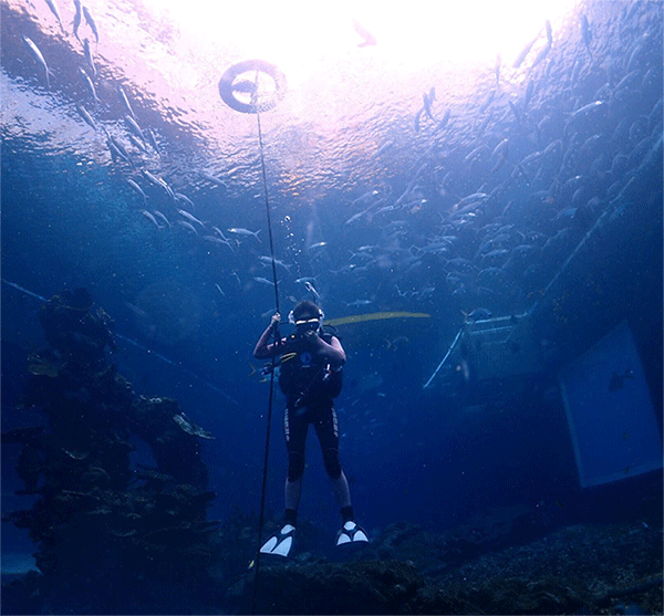 潛水常見問題，原來潛水沒你想的那么難