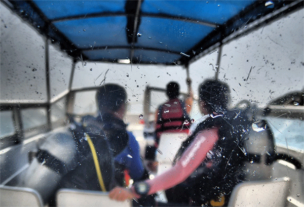 潛水常見問題，原來潛水沒你想的那么難