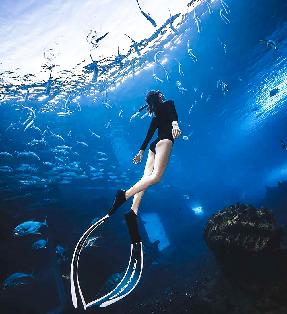 三亞水下攝影打卡地-蒂鉑海洋世界水?dāng)z項目上線了