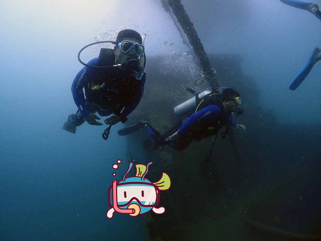 除了俯瞰大地的飛翔，還有潛入海底的翱翔。