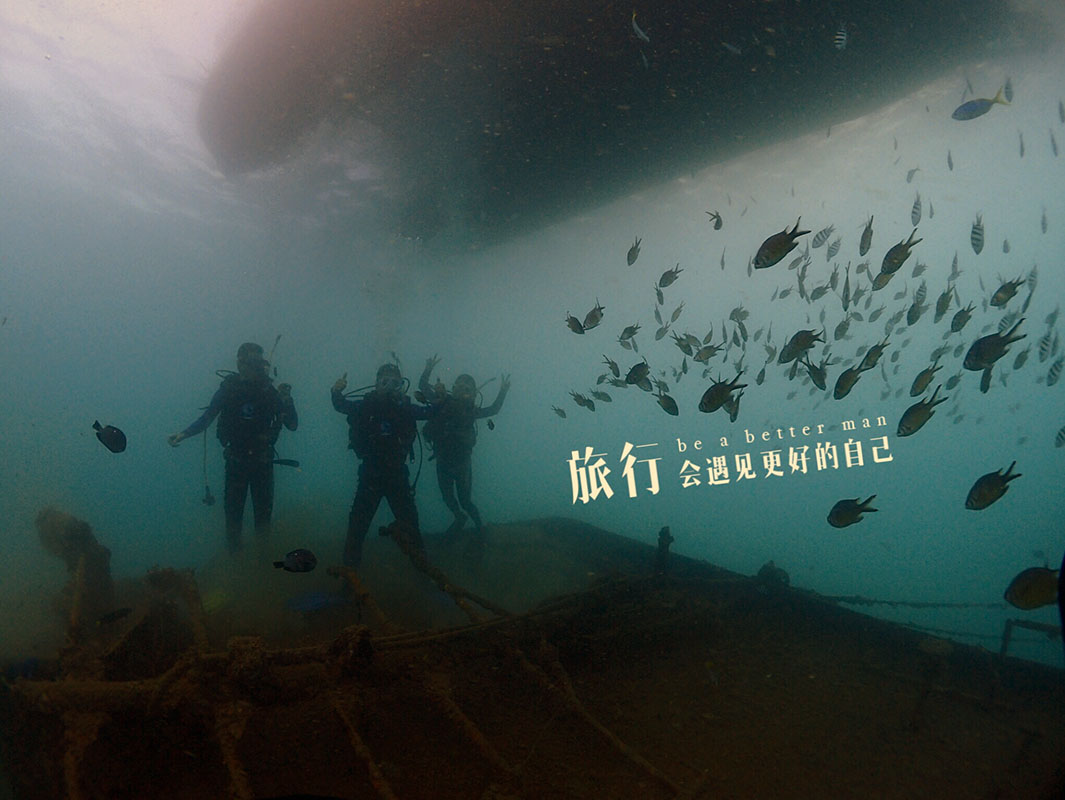 除了俯瞰大地的飛翔，還有潛入海底的翱翔。