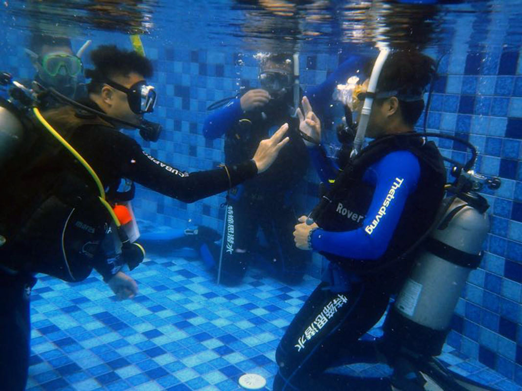 除了俯瞰大地的飛翔，還有潛入海底的翱翔。